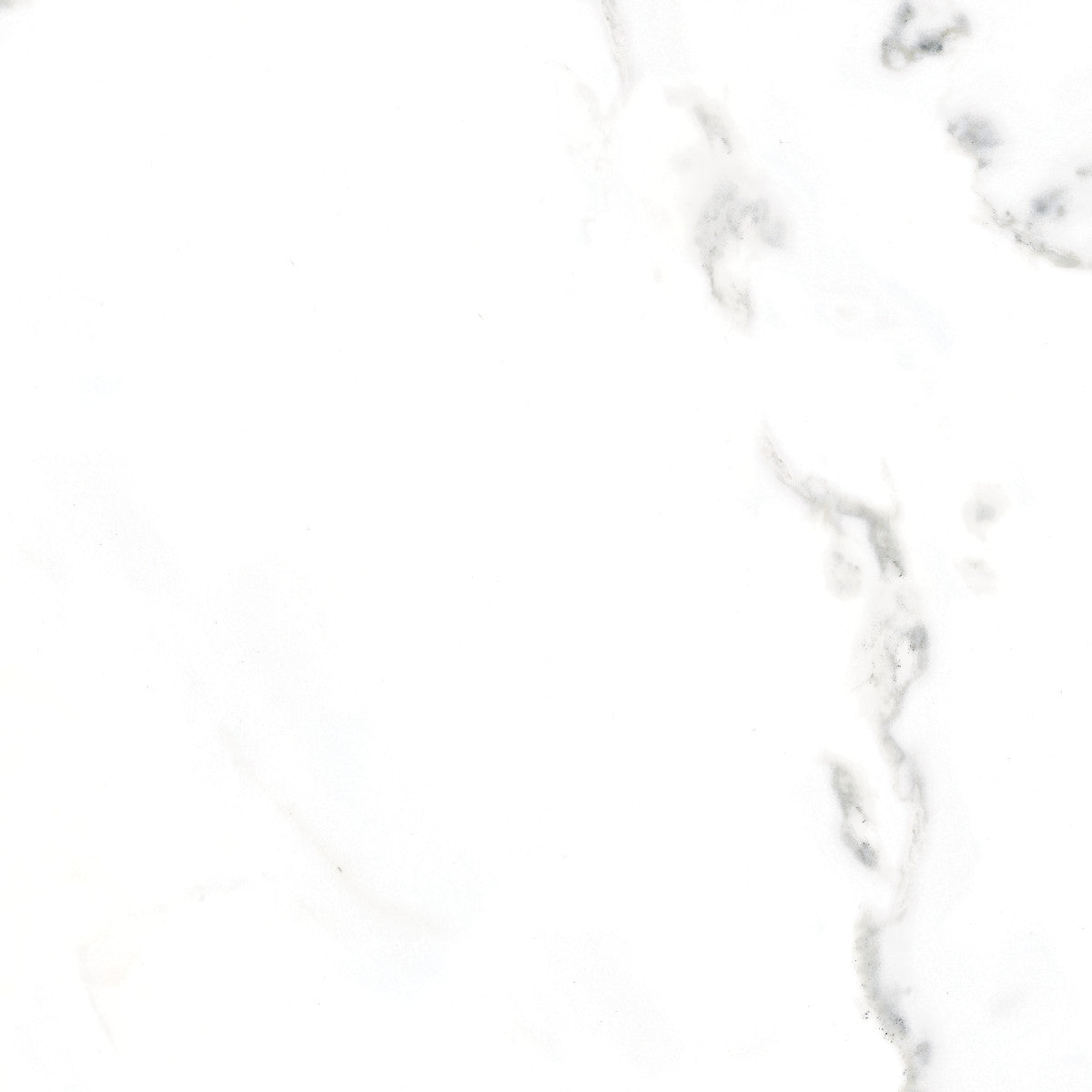 Classic Calacatta 12X12 Matte