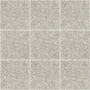 D_Segni Terrazzo Grey 8x8 Field Tile Matte