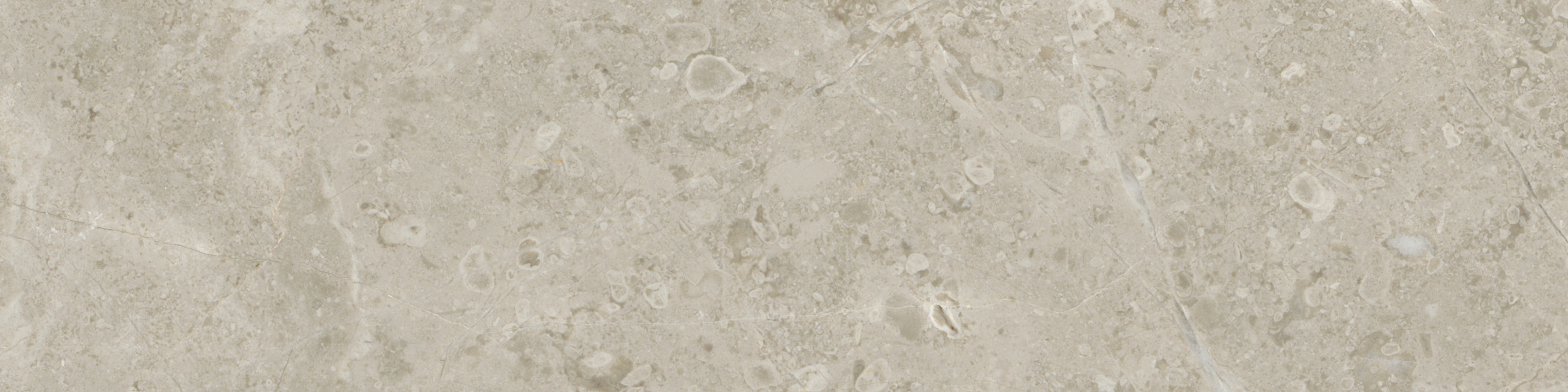 Ritz Gray Ritz Gray 3x12 Field Tile Honed