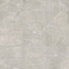 Anciano Grigio Anciano Grigio 3x12 Honed