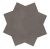 Fiesta Loam 6-1/2x6-1/2 Star Matte
