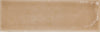 Skin Biscuit 2x5 Field Tile Glossy