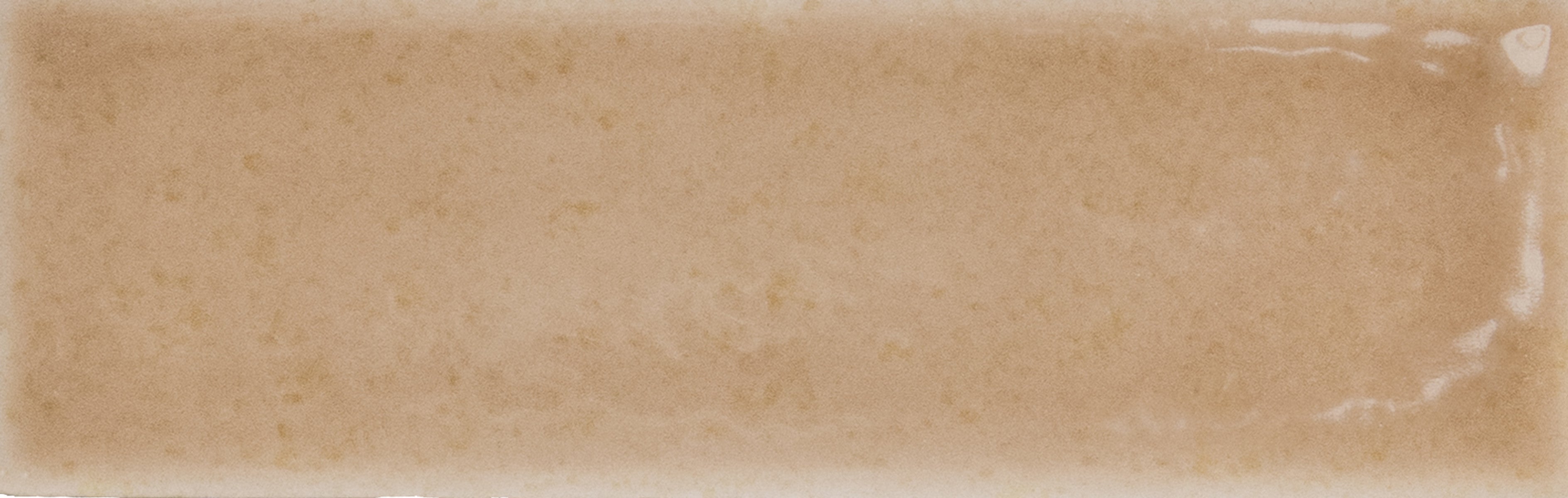 Skin Biscuit 2x5 Field Tile Glossy