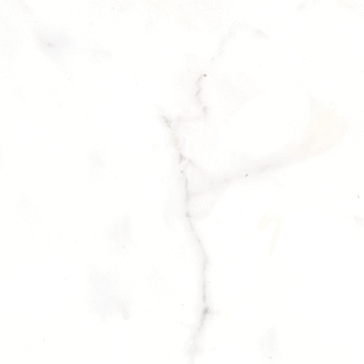 Classic Calacatta 12X12 Matte