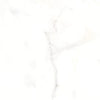 Classic Calacatta 12X12 Matte