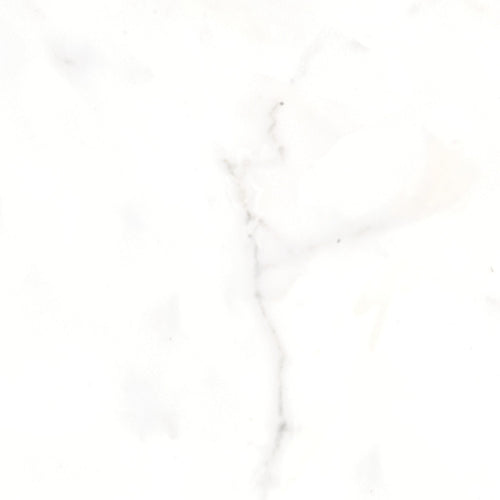 Classic Calacatta 12X12 Matte