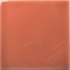 Fayenza Coral 2-1/2x5 Field Tile