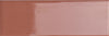 Bits Chestnut 2x5 Field Tile Gloss