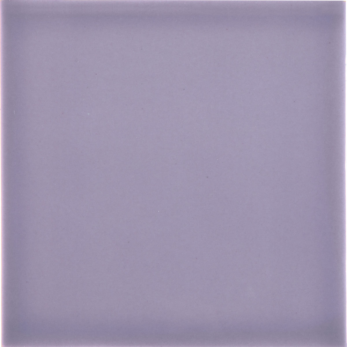 Cursive Iris 3x12 Field Tile Glossy
