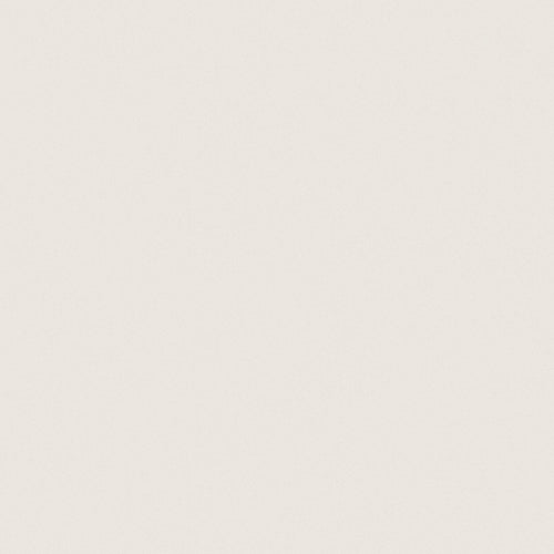 Prima Warm White 12x12 Field Tile Matte Rectified