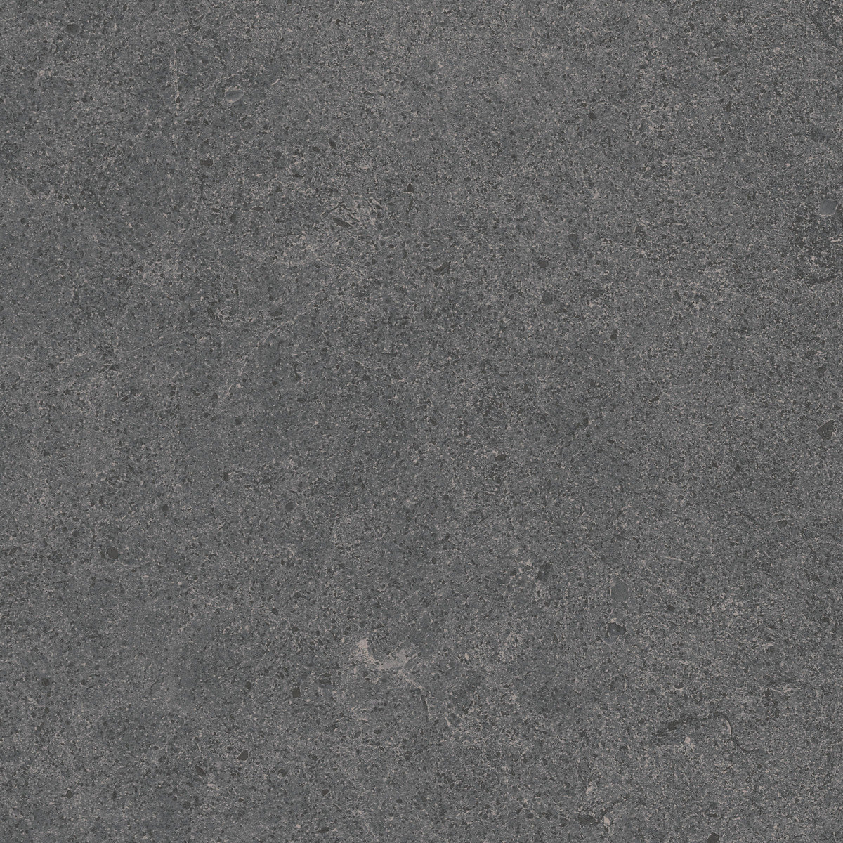 Argent 2.0 On The Rocks 12x12 Field Tile Rectified