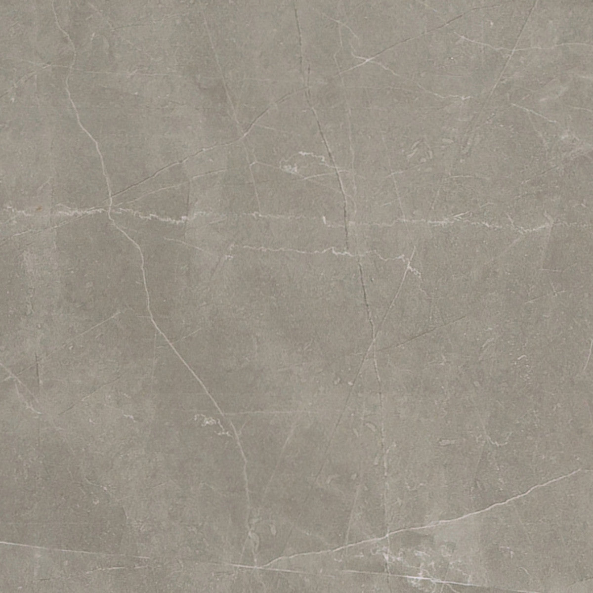 Luxury Amani Grey 12x12 Field Tile Polished Rectified