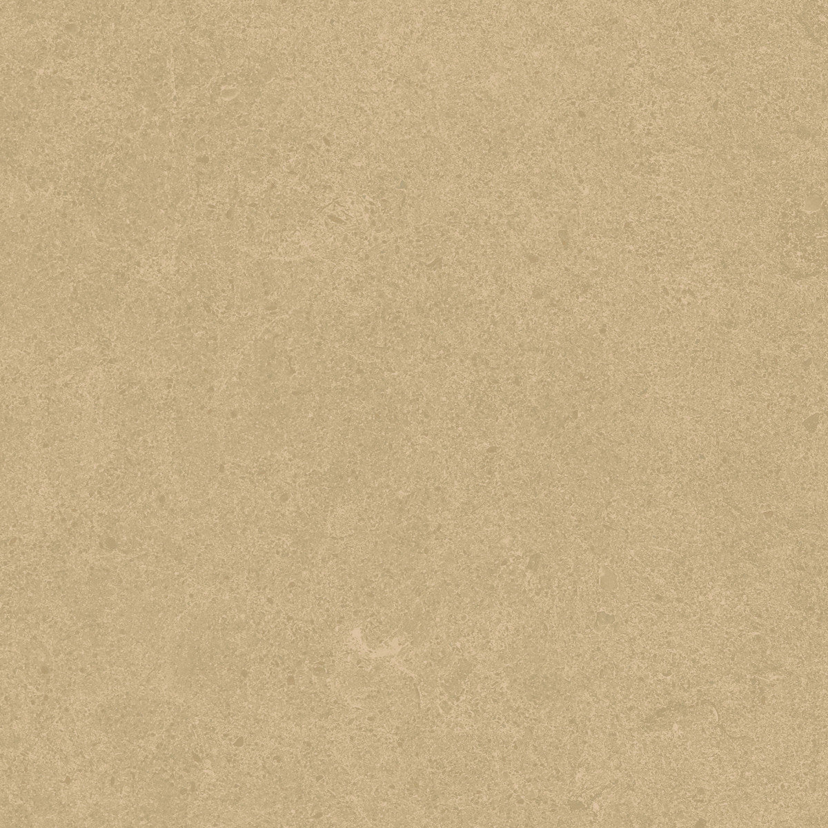 Argent 2.0 Golden Glow 12x12 Field Tile Rectified