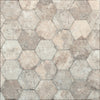 Chicago South Side 9x11 Hexagon Matte