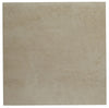 Notorious Sugar Daddy 12x12 Field Tile Matte Rectified