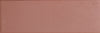 Bits Chestnut 2x5 Field Tile Matte