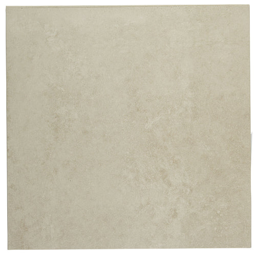 Notorious Private Eye 12x12 Field Tile Matte Rectified