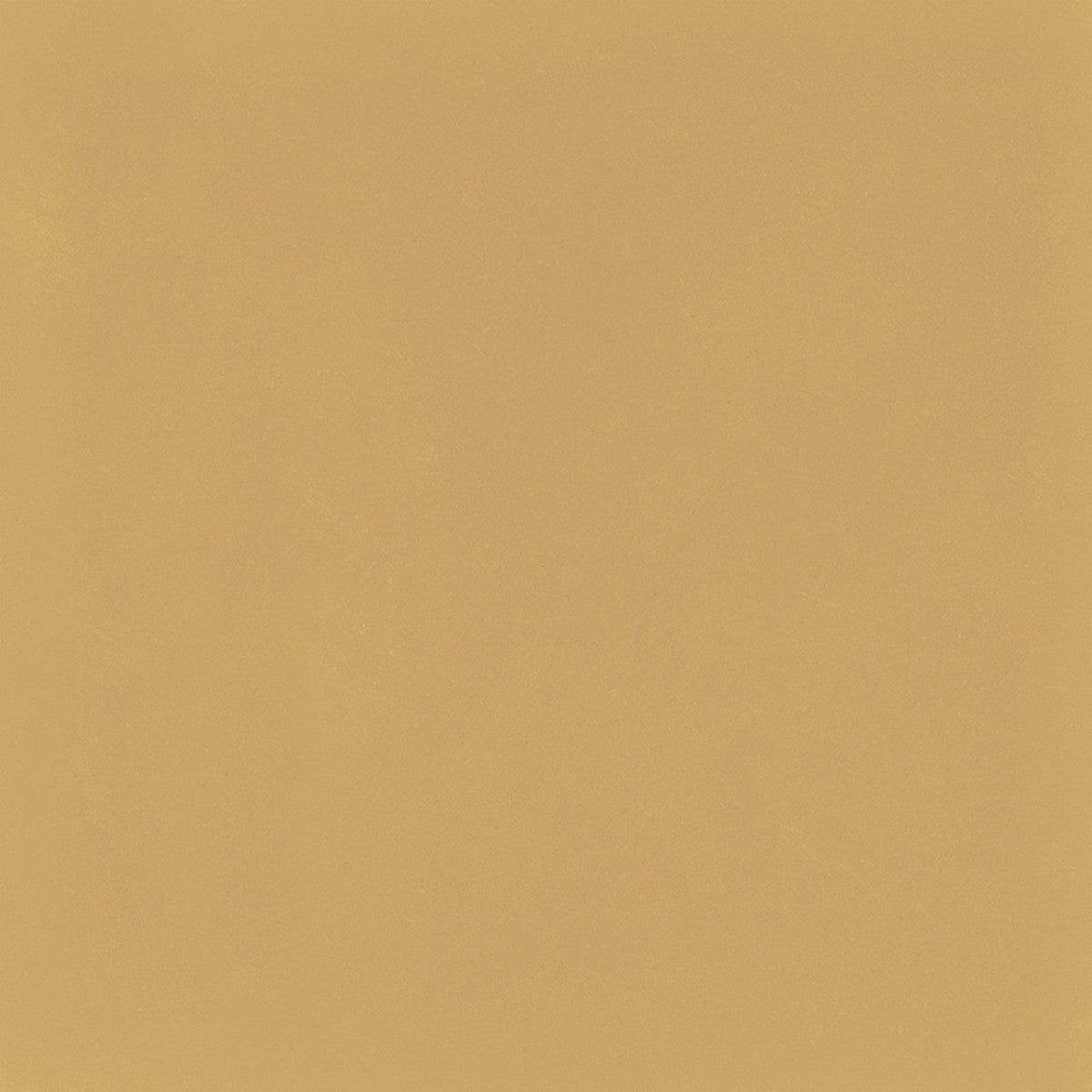 D_Segni Color Mustard 8x8 Field Tile Matte