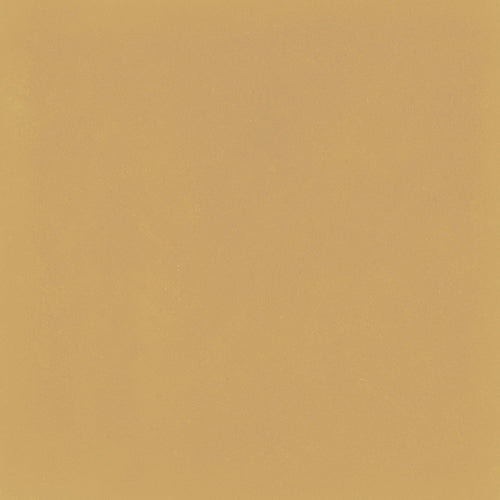 D_Segni Color Mustard 8x8 Field Tile Matte