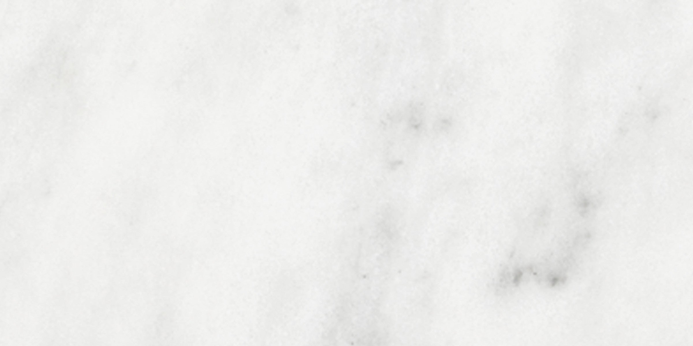 Bianco Venatino Bianco Venatino 3x6 Field Tile Tile Polished