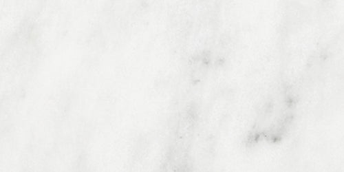 Bianco Venatino Bianco Venatino 3x6 Field Tile Tile Polished