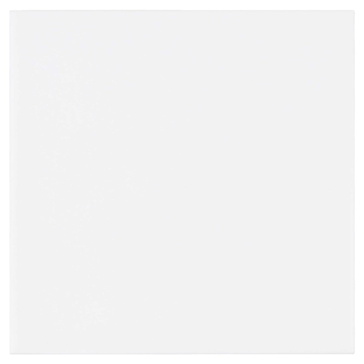 Habitat Alabaster 2x5 Field Tile Matte