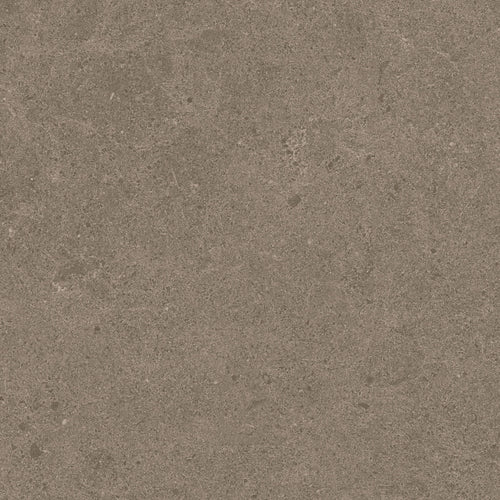 Argent 2.0 Concrete Jungle 12x12 Field Tile Rectified