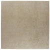 Notorious Sugar Daddy 12x12 Field Tile Honed Rectified