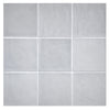 TrueTones Ceramics Greyity Gloss 4-1/2x4-1/2 Zelli Field Tile Gloss