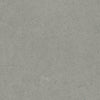 Argent 2.0 Grey Tabby 12x12 Field Tile Rectified