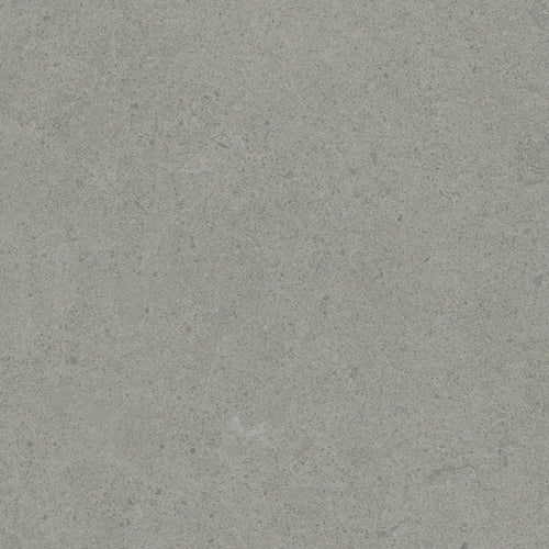 Argent 2.0 Grey Tabby 12x12 Field Tile Rectified
