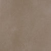 Color Blox 2.0 Sea Otter 12x12 Field Tile