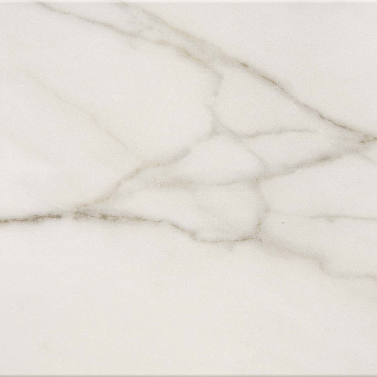 Mythique Marble Calacatta Venecia 12x12 Field Tile Polished Rectified