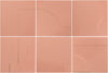 Casbah Teja 5x5 Decor Mix
