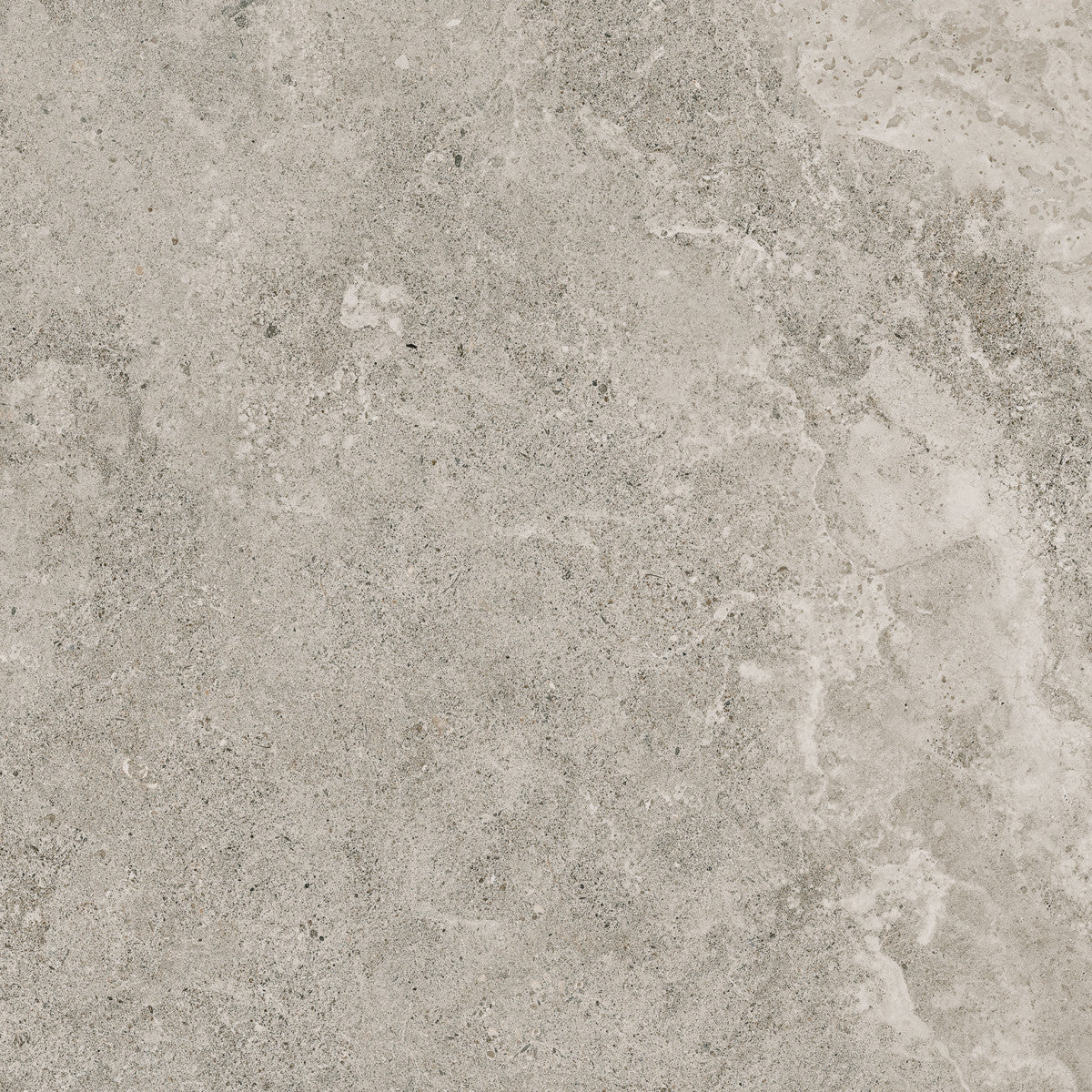 Veneta Stormio 13x13 Field Tile Matte