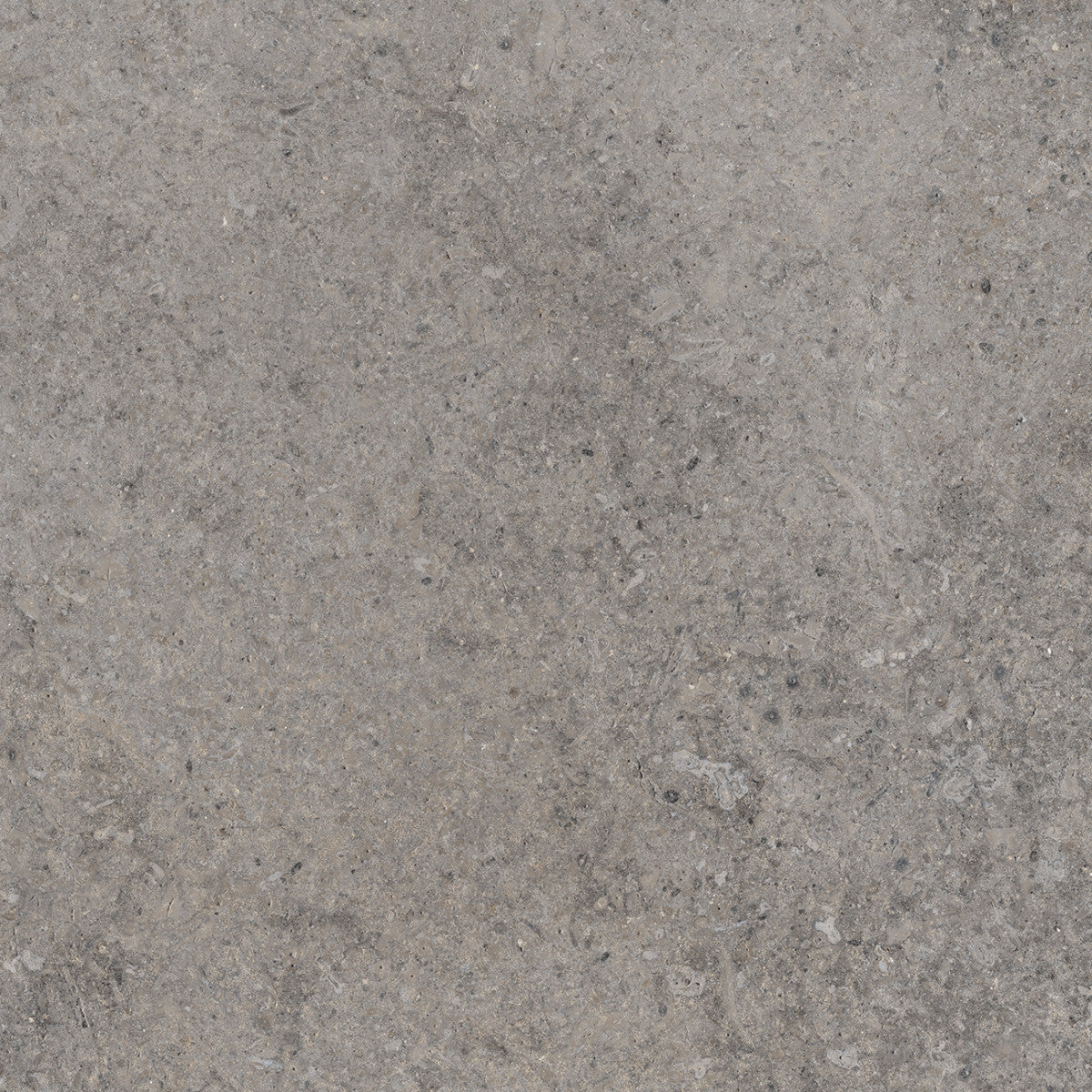 Rustic Stone Charcoal 12x12 Field Tile Matte