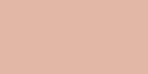 Color Story Blush 3x6 Field Tile