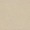 Urban Living Sand 12x12 Field Tile Raw Rectified