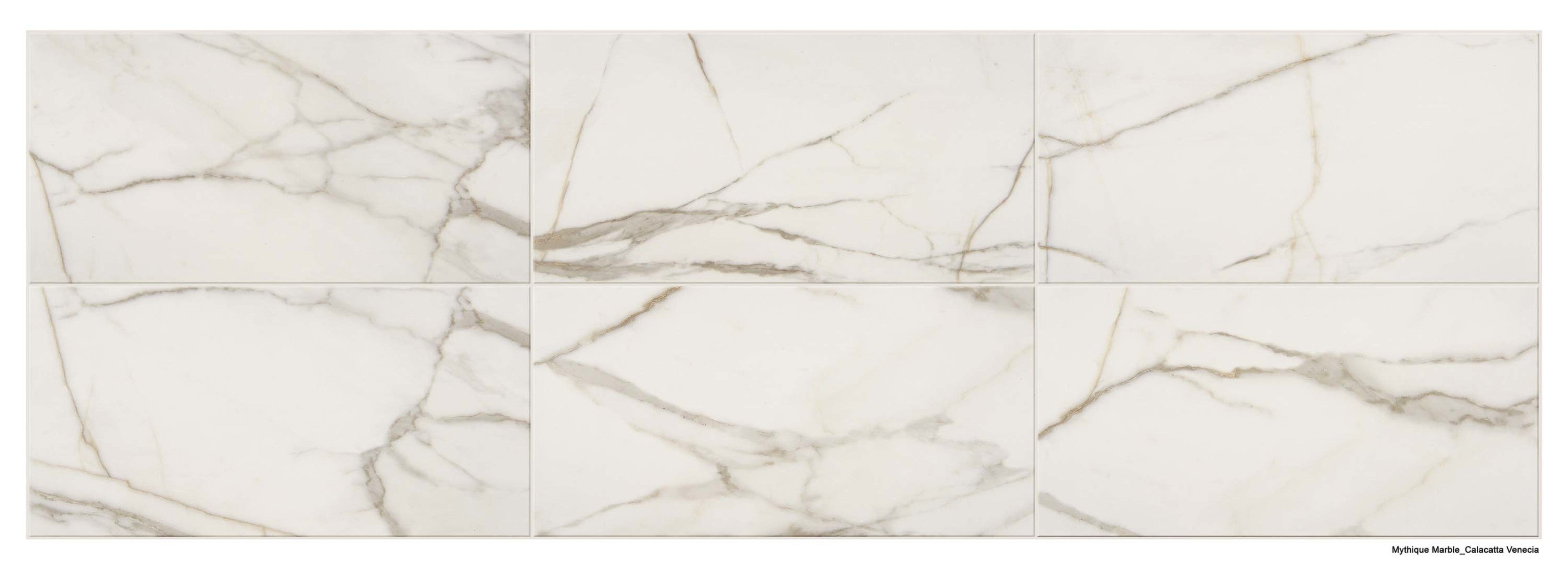 Mythique Marble Calacatta Venecia 12x12 Field Tile Matte Rectified
