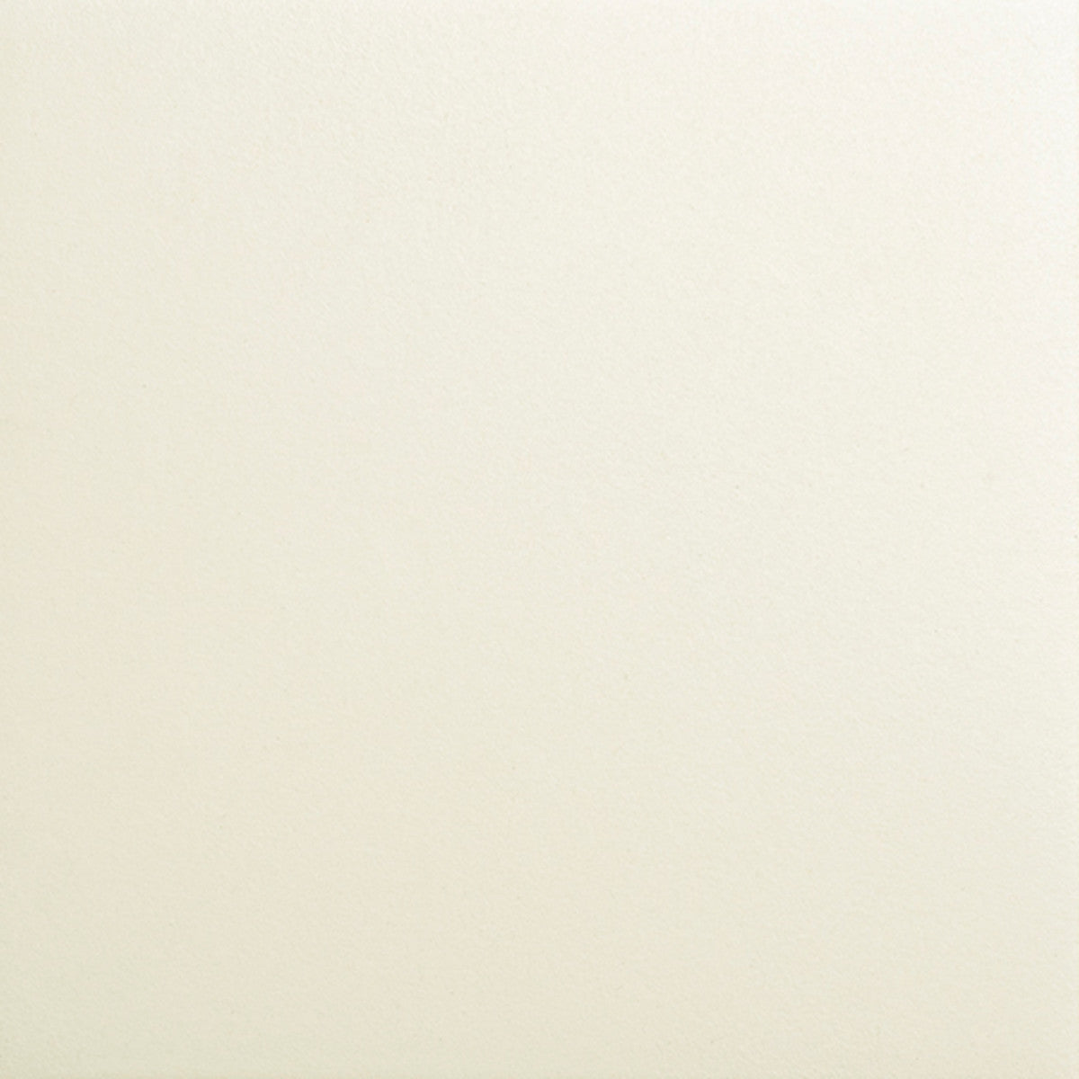 Bits Tundra 2x5 Field Tile Matte
