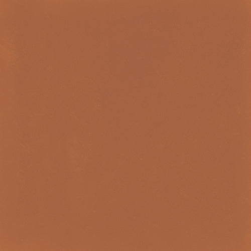 D_Segni Color Tangerine 8x8 Field Tile Matte
