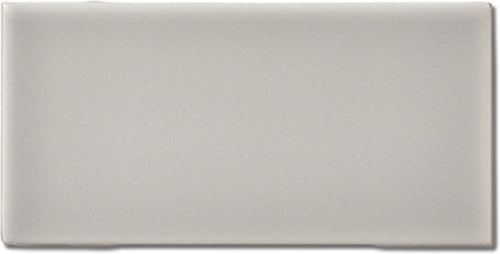 Pure Point Reyes Matte 3x6 Field Tile