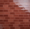 Classics Tide Rust 4x8 Field Tile Gloss