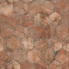 Chicago Old Chicago 9x11 Hexagon Matte