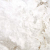 Mythique Marble Majestic 12x12 Field Tile Matte Rectified