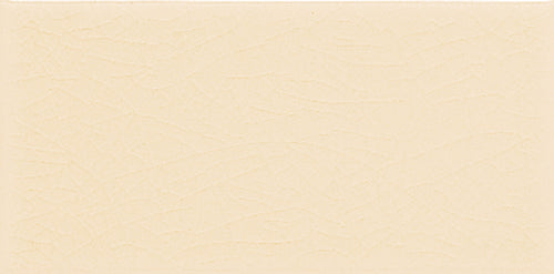 Delray Beaches 3x6 Field Tile Crackle