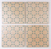 Bejmat Biscuit Lake 6x6 Decorative Tile Matte