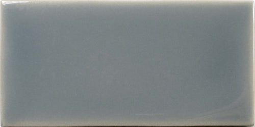 Fayenza Mineral Gray 2-1/2x5 Field Tile