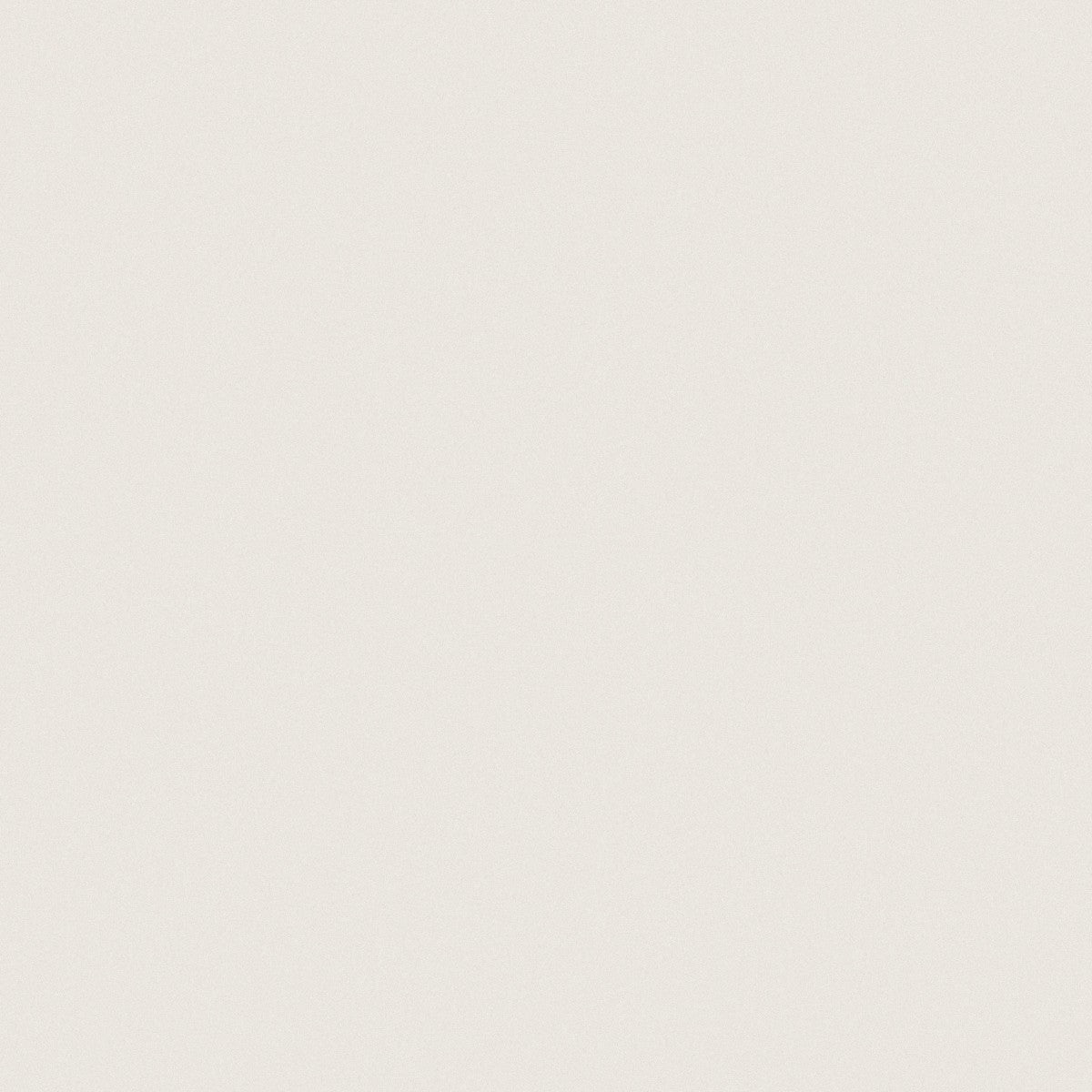 Prima Warm White 12x12 Field Tile Matte Rectified